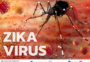 โรคติดเชื้อไวรัสซิกา (Zika Virus)